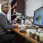 Kosovo: biólogo descubre insecto, lo llama coronavirus
