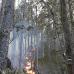 Piden más personal para sofocar incendio en Sierra de Bahoruco