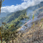 Medio Ambiente dice está controlado incendio que destruyó al menos 90 tareas de bosques en Ocoa