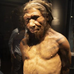 La dieta de los neandertales siberianos incluía plantas y animales