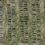 Ola de contagios presiona a cementerios de Uruguay