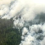 Estallan incendios forestales en el extremo oriente de Rusia