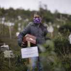 Plantan árboles con cenizas de víctimas de COVID en Colombia