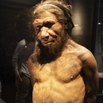 Un hueso de 51.000 años revela la capacidad simbólica de los neandertales