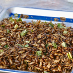 Insectos comestibles, útiles para la fabricación de harinas