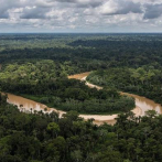 Los bosques tropicales pierden capacidad para absorber carbono