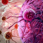 Un nuevo avance para ayudar al sistema inmunitario en lucha contra el cáncer