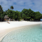 Cocaína valorada en un millón de dólares aparece en una playa de Tonga