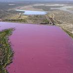Color rosa de laguna argentina alerta a ambientalistas