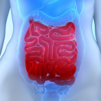 Salud intestinal es clave para reforzar sistema inmunológico, dicen expertos