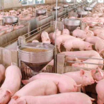 Paliza asegura que el Gobierno protegerá la industria porcina