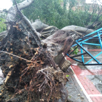 Piden auxilio ante desastre provocado por la tormenta Fred en la plaza San Antón