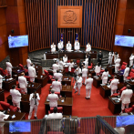 Faride: Código Penal es reintroducido en el Senado hoy al inicio de la segunda legislatura
