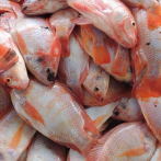 La venta de pescados se dispara y el pollo sigue caro en los mercados