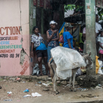 Las bandas armadas de Haití pactan una tregua para dejar paso a la ayuda humanitaria por el terremoto