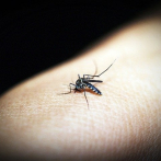 Los casos por dengue se incrementan