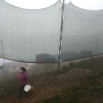 Niebla, bendición y maldición para miles sin agua en Lima