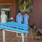 En Camboya, entrenan perros para detectar el covid-19