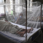 Investigación ofrece una esperanza para el tratamiento del dengue
