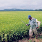 EEUU propone a Latinoamérica una estrategia agrícola alternativa a la europea