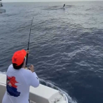 Boricua Jesús Montano domina torneo de pesca al Marlin Azul