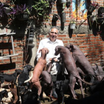 De guía de los muertos a raza de moda: el perro sin pelo de México