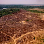En COP26, más de 100 países prometen fin de la deforestación