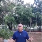 Denuncian poda de árboles en el parque Mirador Sur