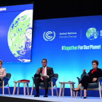 Ecologistas dicen que el éxito de la COP26 se medirá por el dinero ofrecido