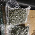 Ocupan 243 paquetes de marihuana que eran transportados en patana en Azua