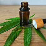 Bolivia autoriza el uso de cannabis medicinal en el tratamiento de una niña