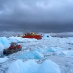 Peces antárticos muestran adaptación al calentamiento global