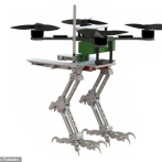 Un robot con patas inspiradas en el halcón para posarse como un pájaro