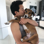 Así fue la historia de cómo Simu Liu, actor de Marvel, adoptó a una perrita callejera en RD