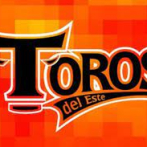 Yamaico y Raúl Valdes encabezan los jugadores de los Toros disponibles para el Draft de reingreso