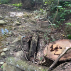 Crimen ecológico en el río Gurabo