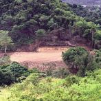 Medio Ambiente someterá a la justicia a responsables de corte de árboles próximo al río Gurabo