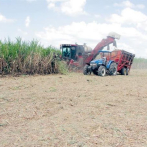 Congresistas de EEUU piden investigar sector azucarero de República Dominicana