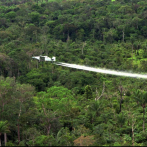 Corte colombiana frena fumigación de coca con glifosato