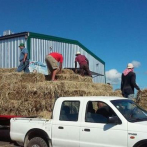 Conaleche entrega pacas a ganaderos afectados por sequía