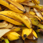 Científicos logran obtener hidrógeno, considerado el combustible perfecto, a partir de cáscaras de banano