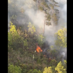 Se registra incendio forestal en Loma Miranda