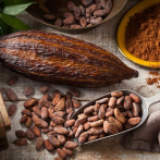 Cacao dominicano gana premio internacional en el Reino Unido
