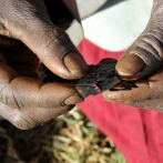 El papa condena mutilación genital de niñas