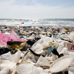 Los residuos plásticos están presentes de forma masiva en todos los océanos