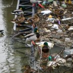 La contaminación por fármacos alcanza a los ríos de todo el mundo