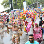 Lluvias no detienen el desfile del carnaval de Santo Domingo
