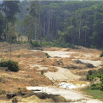 Deforestación de la Amazonía brasileña marca nuevo récord para febrero