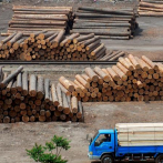 Rusia prohíbe las exportaciones de azúcar, cereales y madera a ciertos países