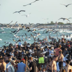 Miami Beach recibe con temor a miles de jóvenes por el 
